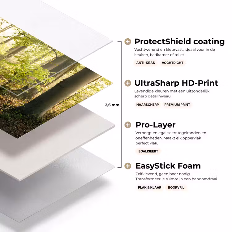 Bos - Bomen - Pad - Zon - Planten - Bladeren - Natuur keuken achterwand sample klein -USP_lagenNL