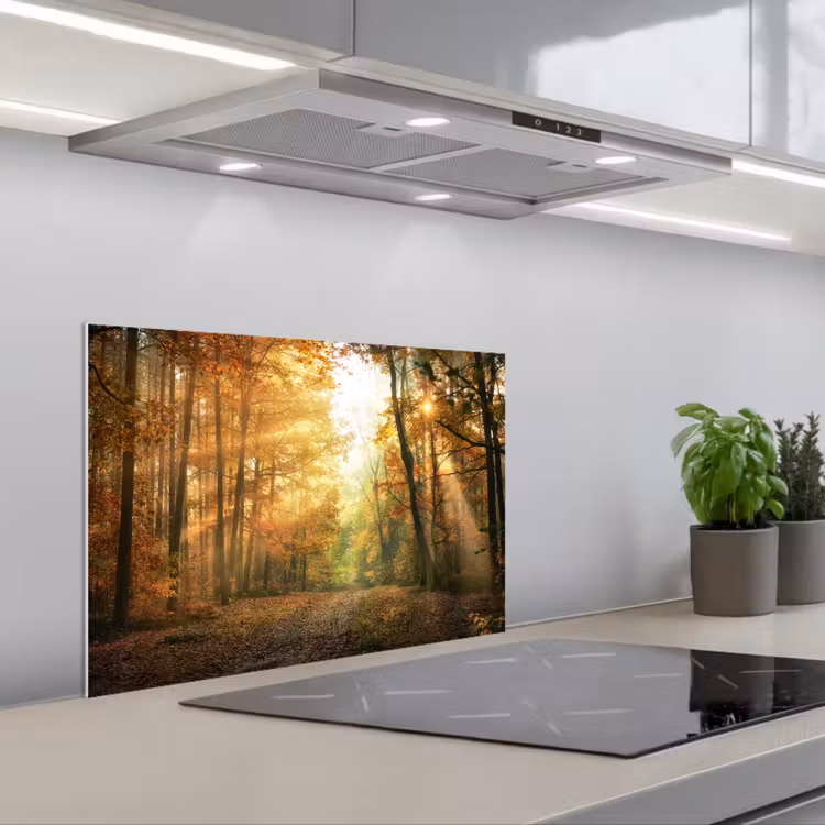 Bos - Herfst - Zon - Landschap - Natuur - Bomen - Bladeren keuken achterwand spatscherm klein -3d_schuin
