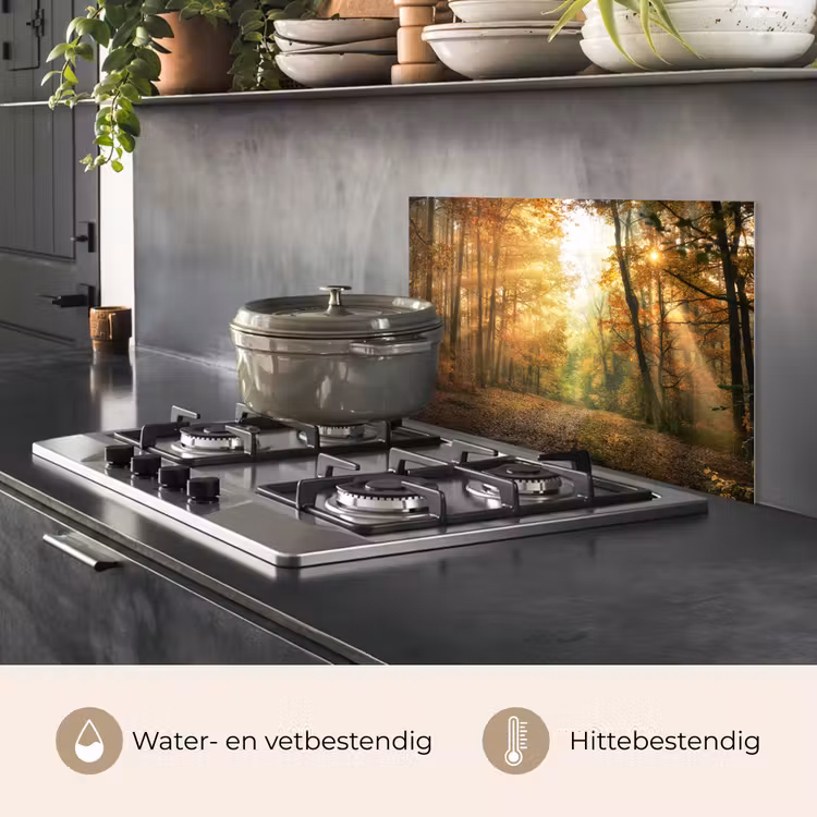 Bos - Herfst - Zon - Landschap - Natuur - Bomen - Bladeren keuken achterwand spatscherm klein -usp_NL