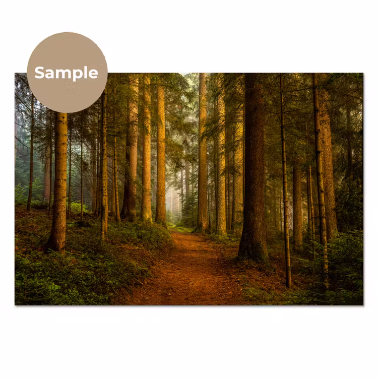 Bos - Natuur - Bomen - Landschap - Bladeren keuken achterwand sample klein -3d