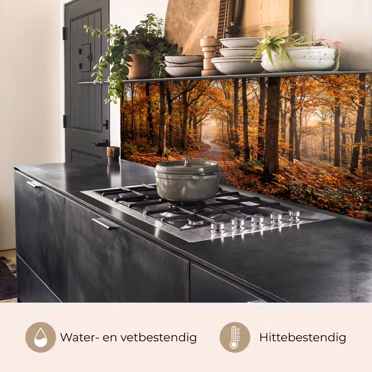 Bospad - Herfstbos - Bladeren - Oranje - Nostalgisch keuken achterwand 2 middel -usp_NL