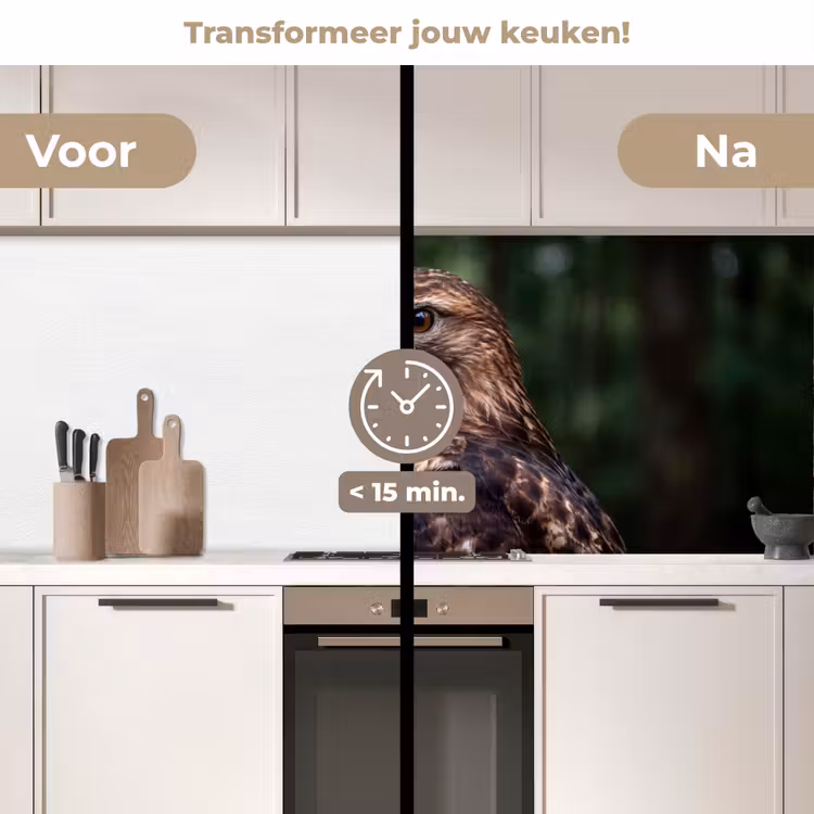 Buizerd - Roofvogel - Natuur - Bruin keuken achterwand 2 middel -voor-na2_NL