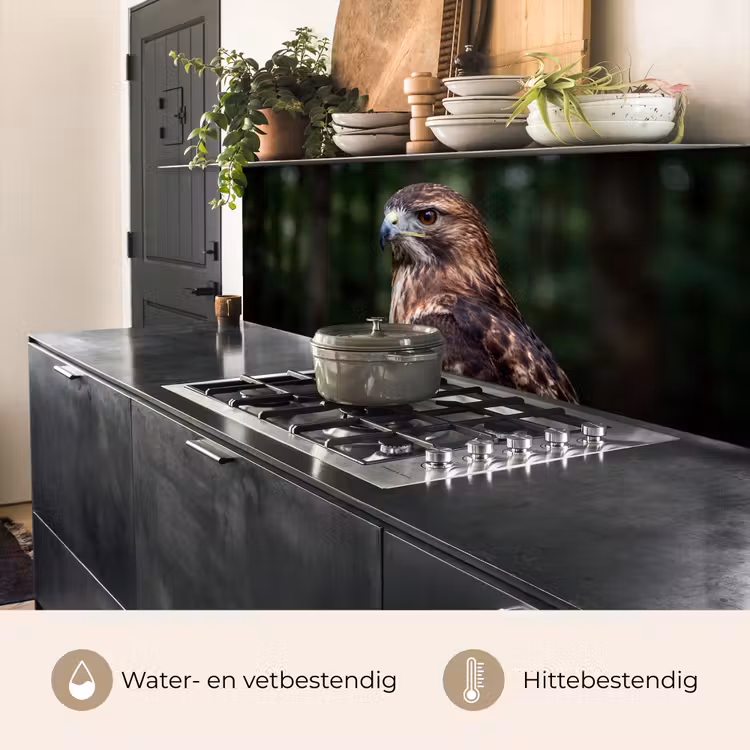 Buizerd - Roofvogel - Natuur - Bruin keuken achterwand 2 middel -usp_NL
