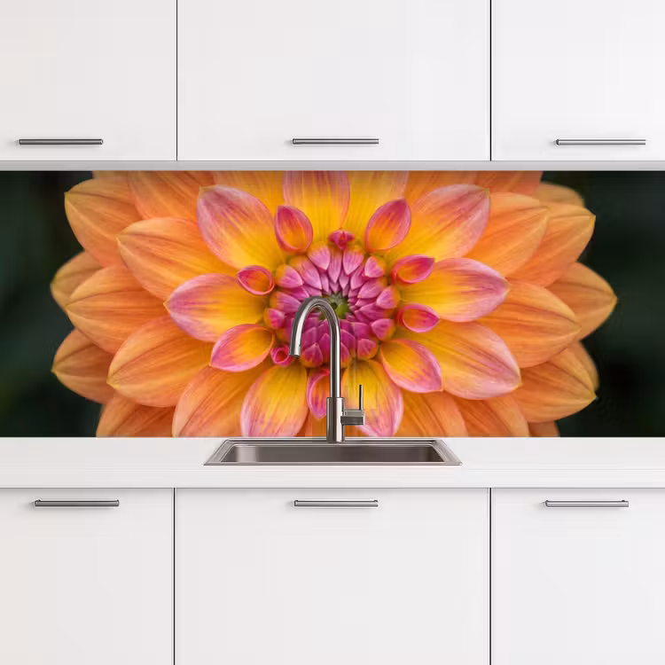 Dahlia - Bloem - Oranje keuken achterwand 2 middel -3d