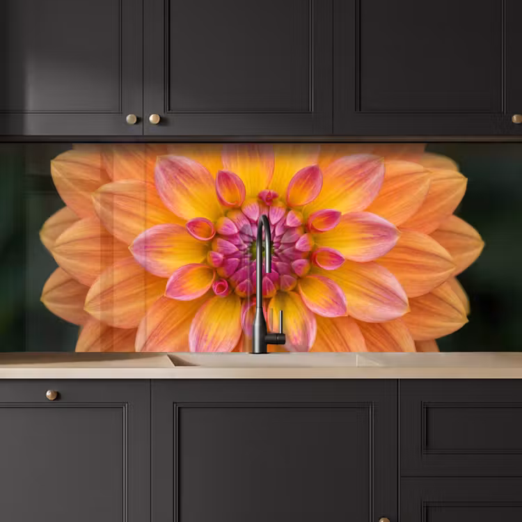 Dahlia - Bloem - Oranje keuken achterwand 2 middel -sfeer1