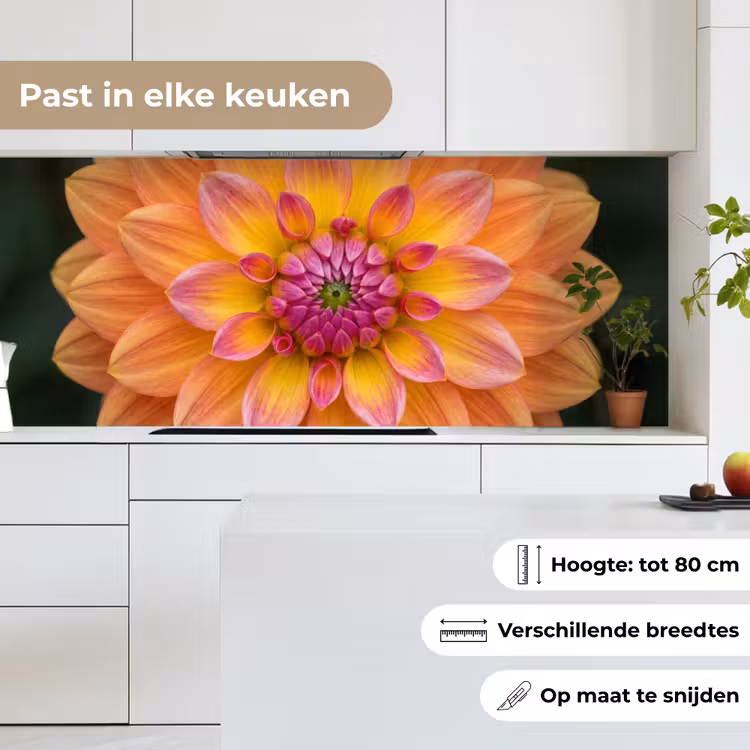 Dahlia - Bloem - Oranje keuken achterwand 2 middel -sfeer4_NL