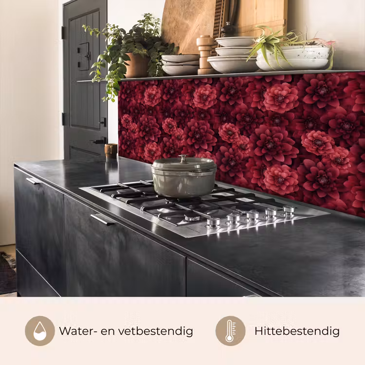 Dahlias - Bloemen - Rood keuken achterwand 2 middel 871 -usp_NL
