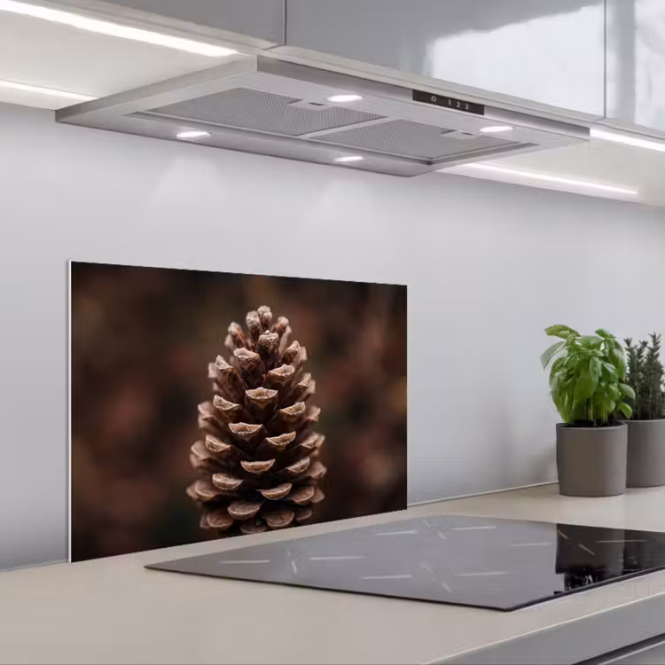 Dennenappel - Bos - Herfst - Bruin - Sfeervol keuken achterwand 2 middel -usp_NL