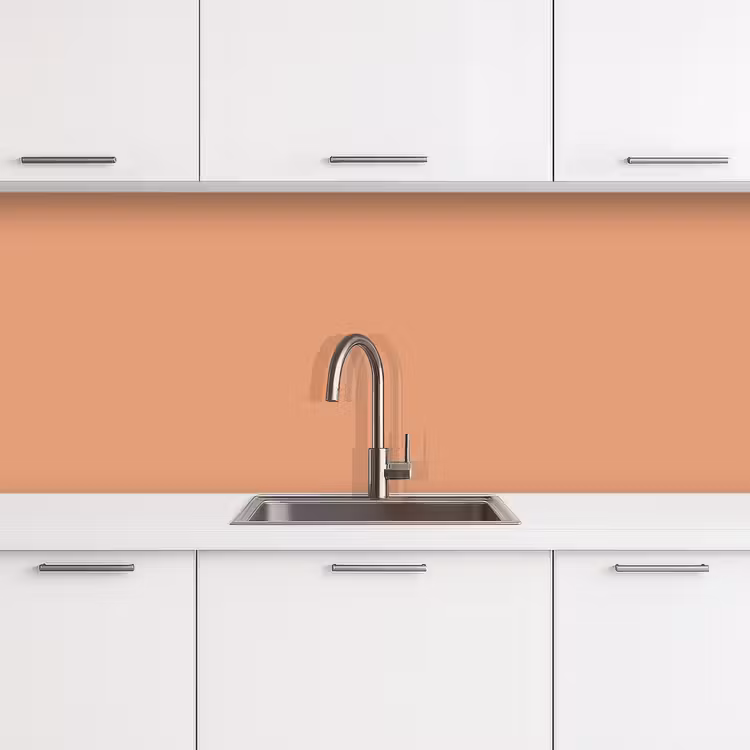 Desert - Coral - Koraal keuken achterwand 2 middel 871 -3d