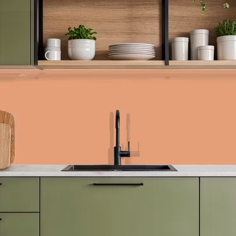 Desert - Coral - Koraal keuken achterwand 2 middel 871 -sfeer3