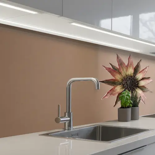Droogbloem - Protea - Vintage - Beige - Rustiek keuken achterwand 2 middel -3d_schuin