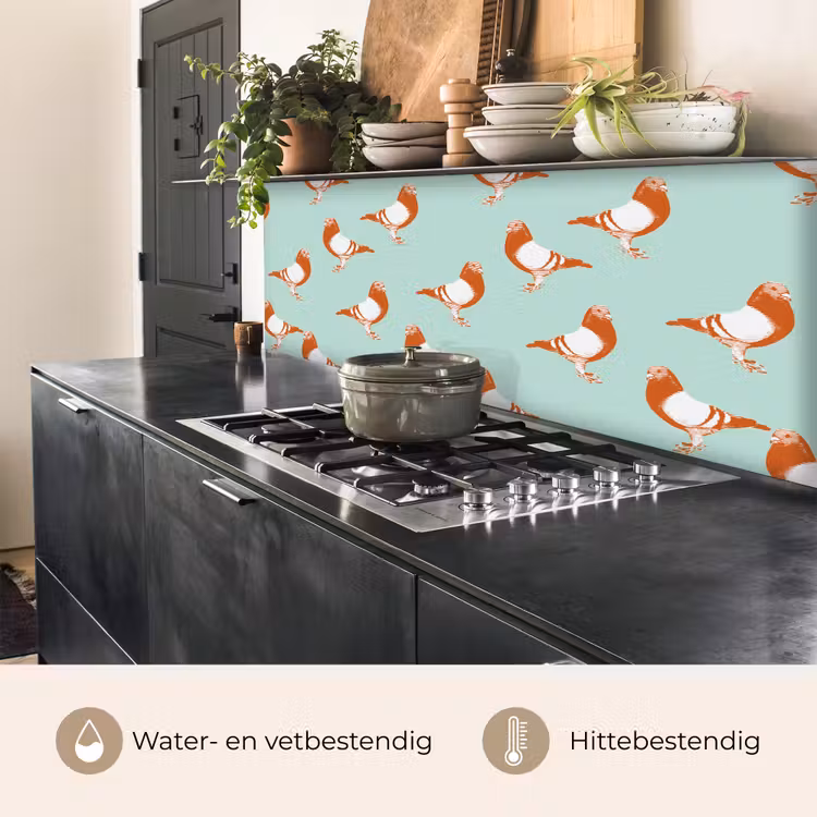 Duif - Vogel - Patroon keuken achterwand 2 middel 871 -usp_NL