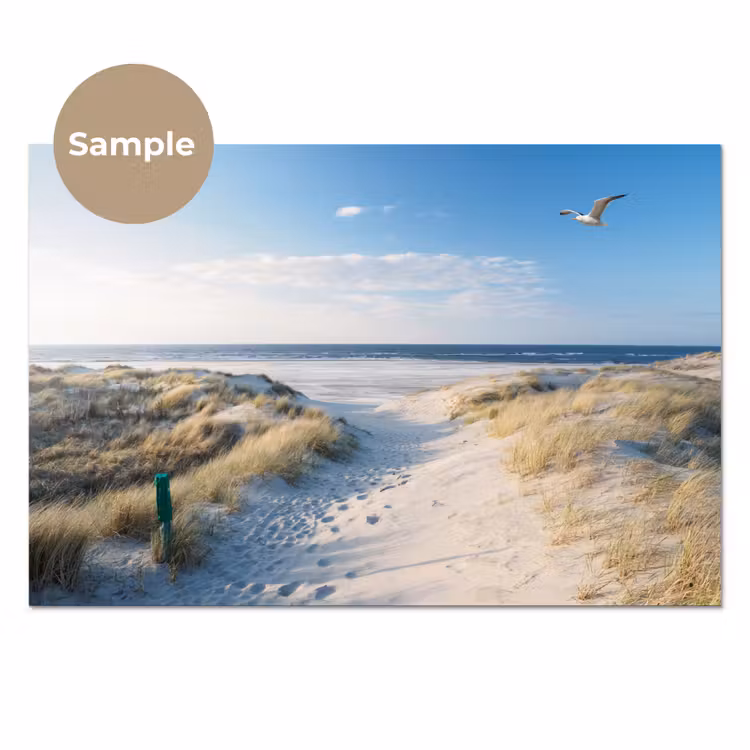 Duin - Meeuw - Strand - Zee - Zon keuken achterwand sample klein -3d