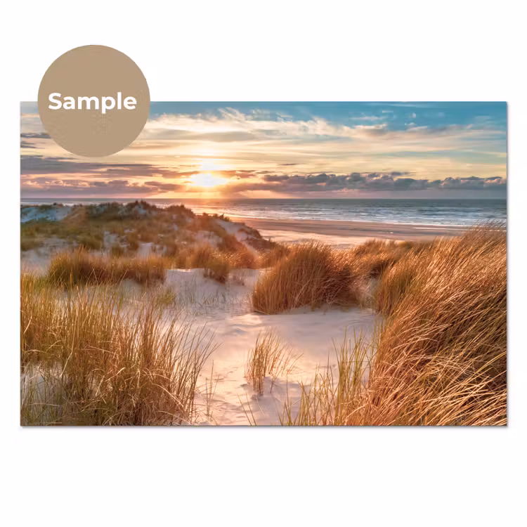 Duin - Planten - Zonsondergang - Strand - Zee keuken achterwand sample klein -3d