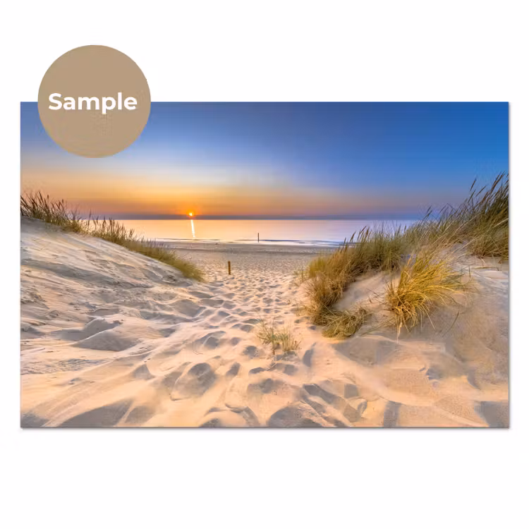 Duin - Zonsondergang - Horizon - Strand - Gras keuken achterwand sample klein -3d