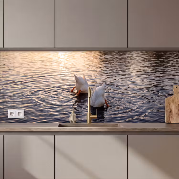 Eenden - Water - Natuur keuken achterwand 2 middel zz_3dshopping