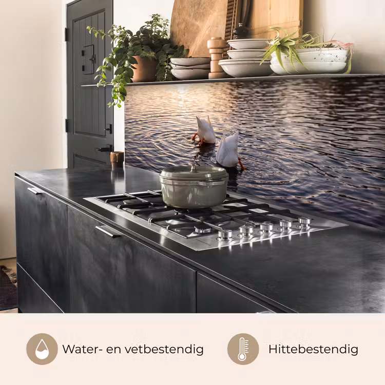 Eenden - Water - Natuur keuken achterwand 2 middel -usp_NL