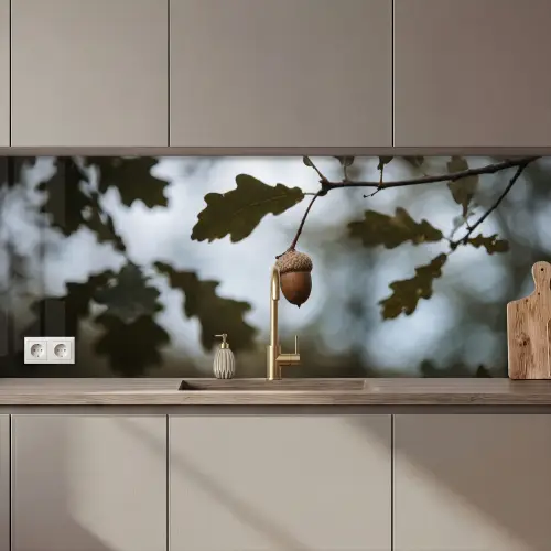 Keuken achterwand - Eikel - Eikenblad - Bos - Herfst - Natuur