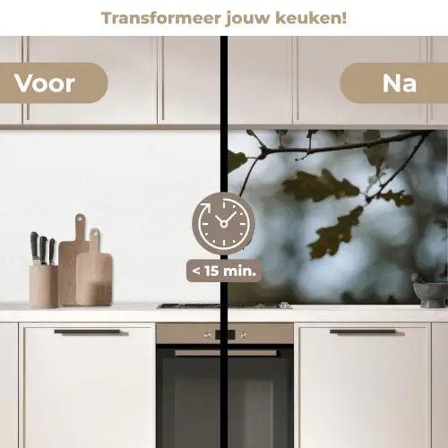 Eikel - Eikenblad - Bos - Herfst - Natuur keuken achterwand 2 middel -voor-na2_NL