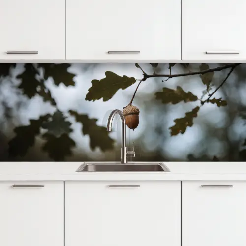 Eikel - Eikenblad - Bos - Herfst - Natuur keuken achterwand 2 middel -3d