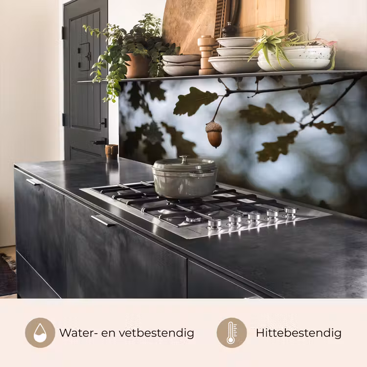 Eikel - Eikenblad - Bos - Herfst - Natuur keuken achterwand 2 middel -usp_NL