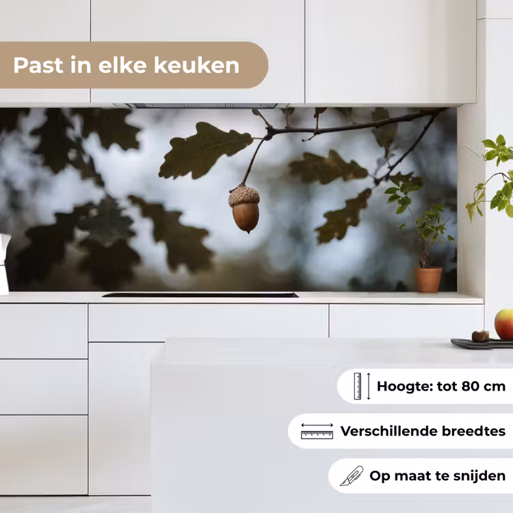 Eikel - Eikenblad - Bos - Herfst - Natuur keuken achterwand 2 middel -sfeer4_NL