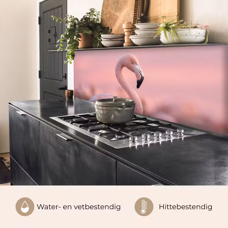 Flamingo - Portret - Roze keuken achterwand 2 middel -usp_NL