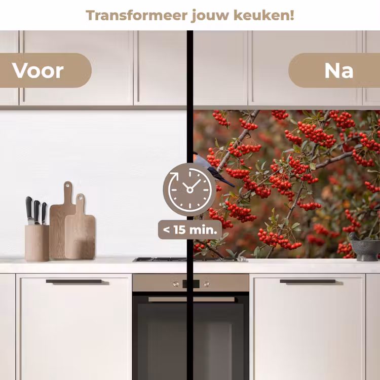 Goudvink - Bessen - Herfst - Natuur - Kleurrijk keuken achterwand 2 middel -voor-na2_NL