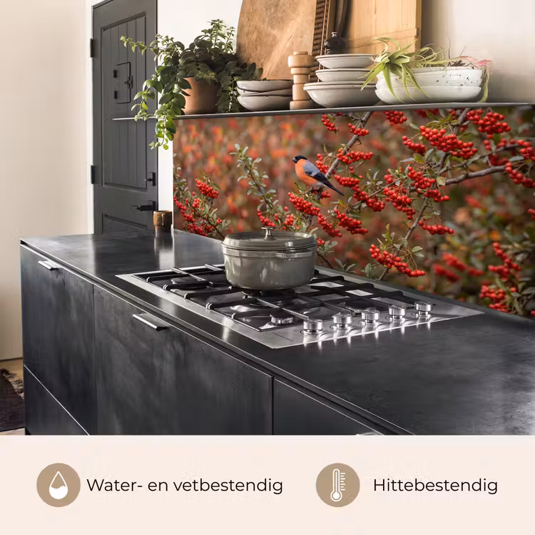 Goudvink - Bessen - Herfst - Natuur - Kleurrijk keuken achterwand 2 middel -usp_NL