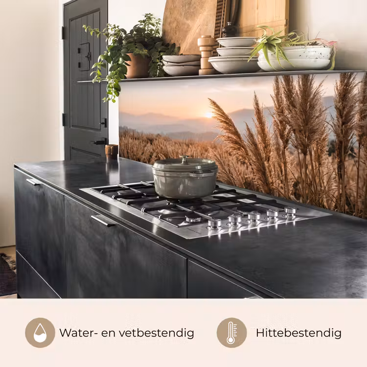 Gras - Veld - Zon - Natuur keuken achterwand 2 middel -usp_NL