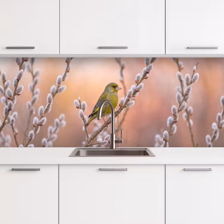 Groenling - Katjes - Lente - Natuur - Zacht keuken achterwand 2 middel -3d