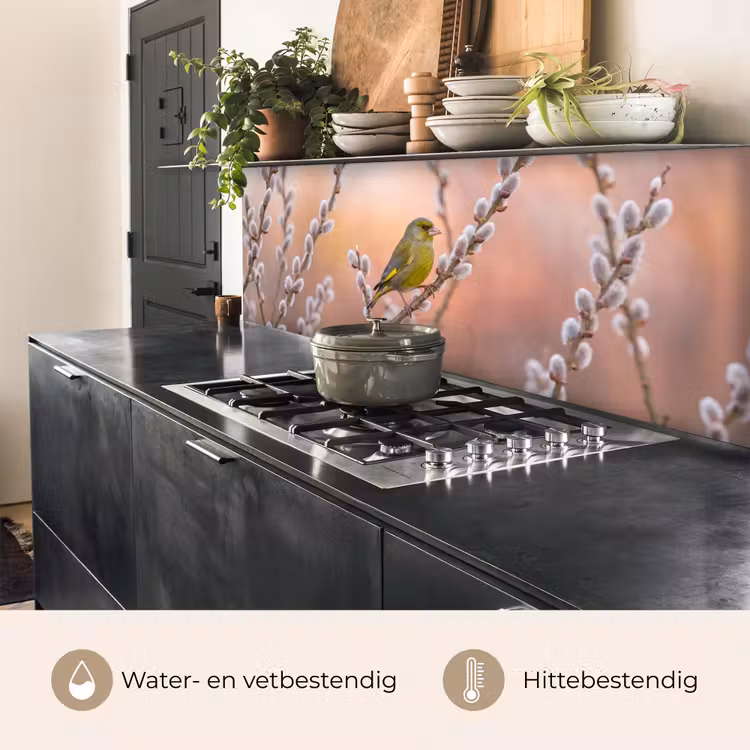 Groenling - Katjes - Lente - Natuur - Zacht keuken achterwand 2 middel -usp_NL