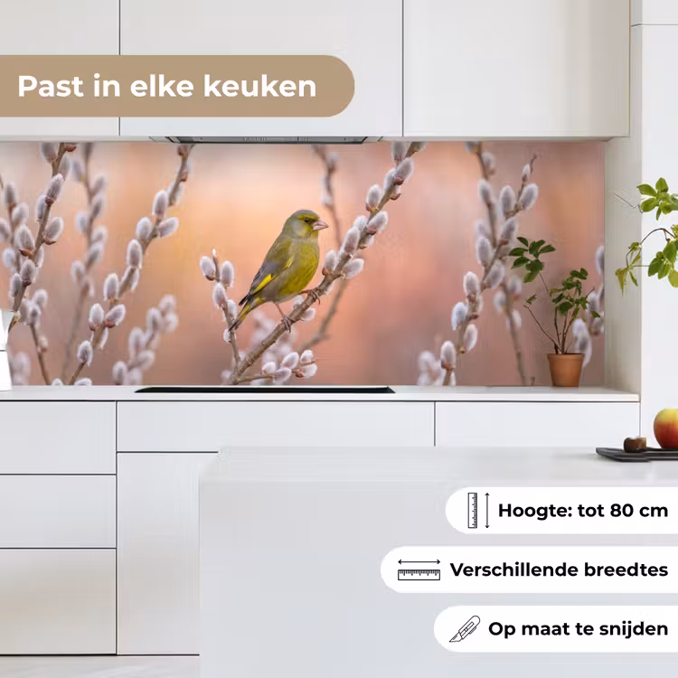 Groenling - Katjes - Lente - Natuur - Zacht keuken achterwand 2 middel -sfeer4_NL