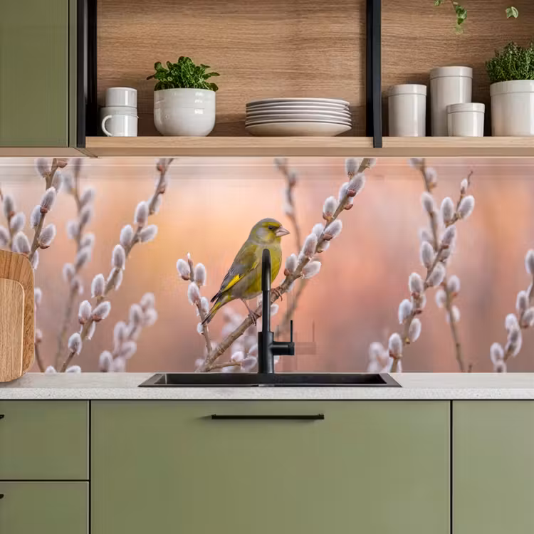 Groenling - Katjes - Lente - Natuur - Zacht keuken achterwand 2 middel -sfeer3