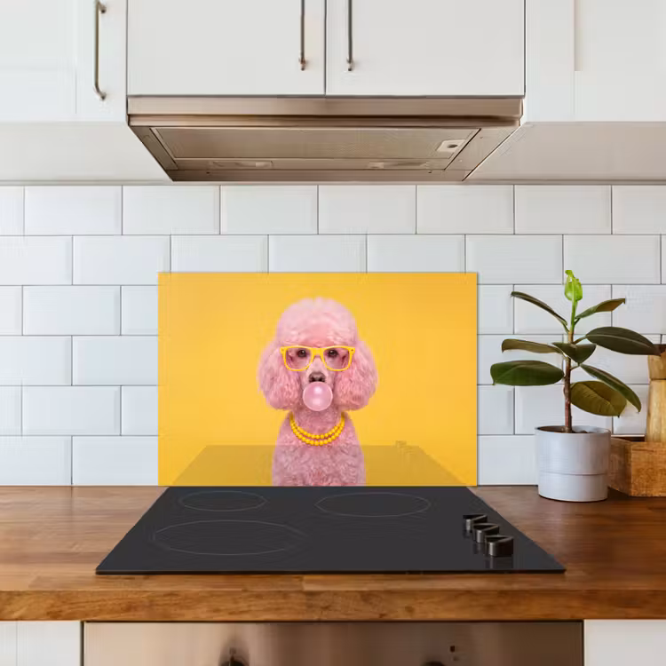 Hond - Kauwgum - Dieren - Modern - Roze keuken achterwand spatscherm klein -sfeer2