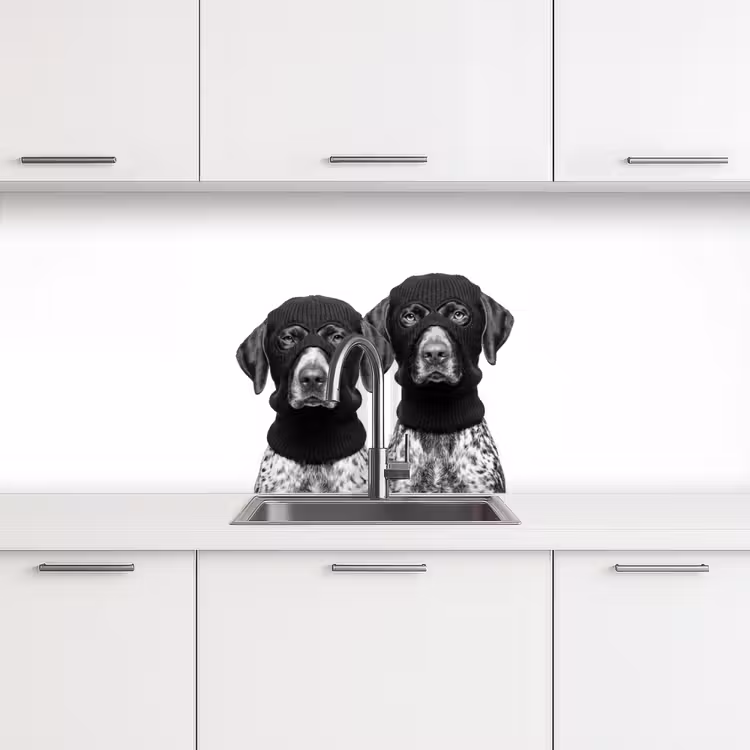 Honden - Bivakmuts - Zwart - wit keuken achterwand 2 middel -3d