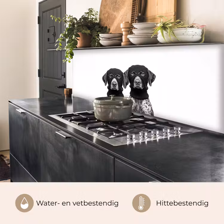 Honden - Bivakmuts - Zwart - wit keuken achterwand 2 middel -usp_NL