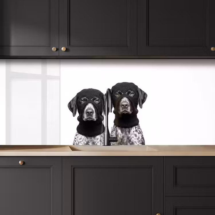 Honden - Bivakmuts - Zwart - wit keuken achterwand 2 middel -sfeer1