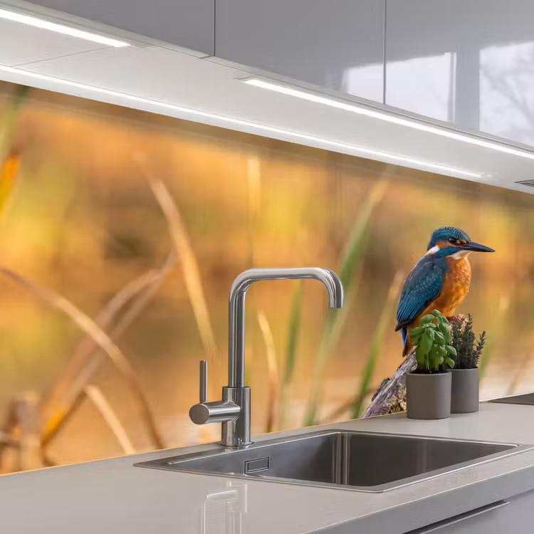 IJsvogel - Tak - Water - Kleurrijk - Levendig keuken achterwand 2 middel -3d_schuin