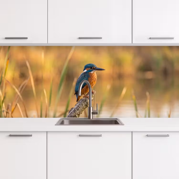 IJsvogel - Tak - Water - Kleurrijk - Levendig keuken achterwand 2 middel -3d