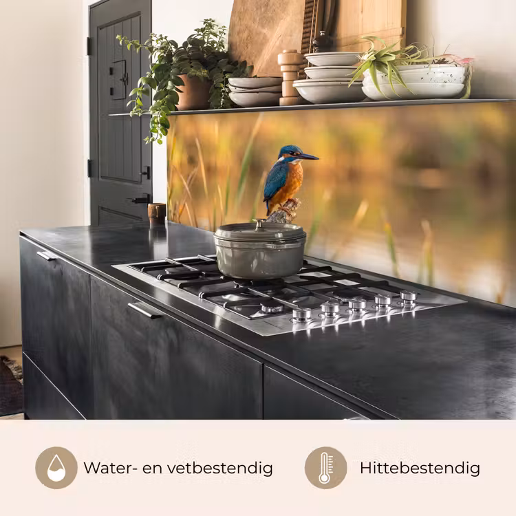 IJsvogel - Tak - Water - Kleurrijk - Levendig keuken achterwand 2 middel -usp_NL
