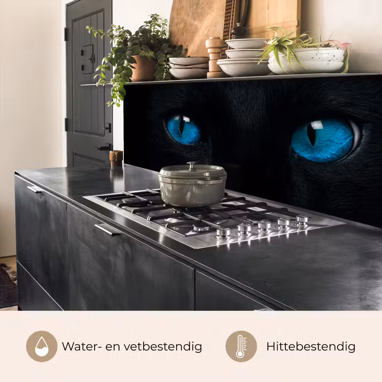 Kat - Blauw - Dier - Zwart keuken achterwand 2 middel -usp_NL