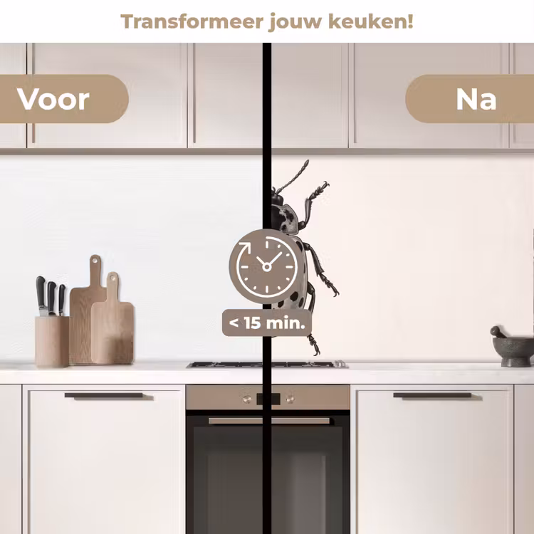 Kever - Insect - Vintage keuken achterwand 2 middel -voor-na2_NL