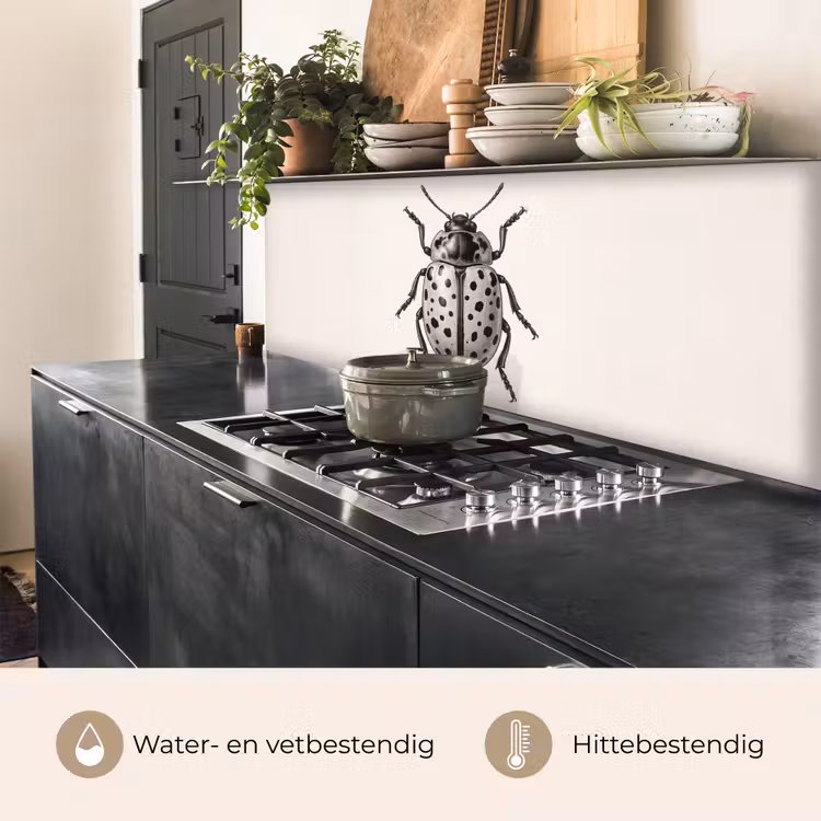 Kever - Insect - Vintage keuken achterwand 2 middel -usp_NL