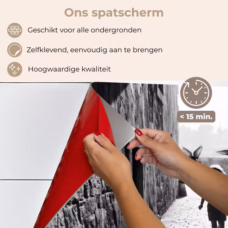 Kind - Vogel - Straat - Zwart-wit - Spelen keuken achterwand spatscherm klein -spatscherm_NL