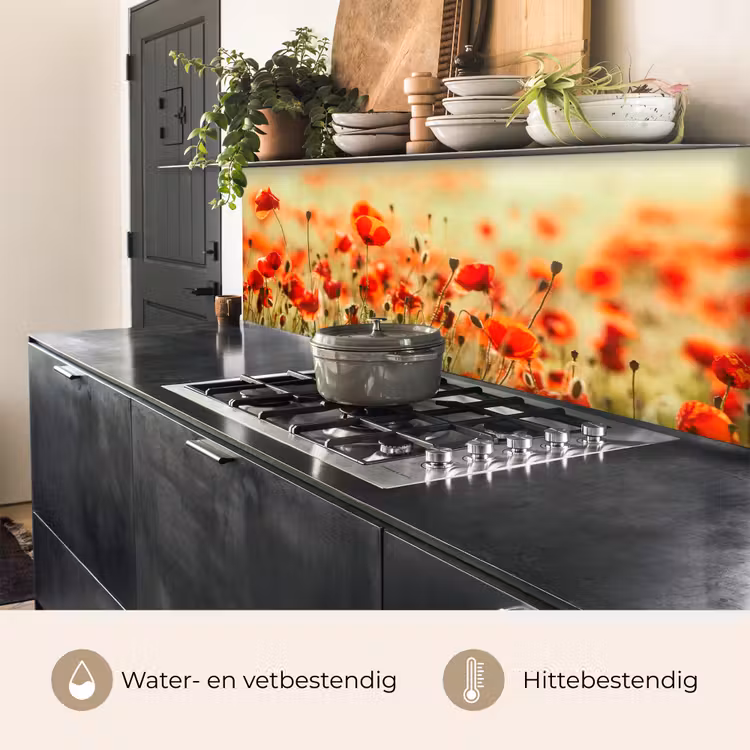 Klaprozen - Bloemen - Rood - Bloemenveld keuken achterwand 2 middel -usp_NL