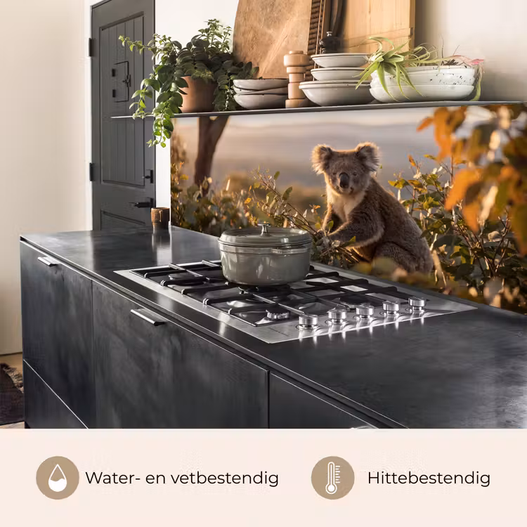 Koala - Bladeren - Ochtendlicht keuken achterwand 2 middel -usp_NL