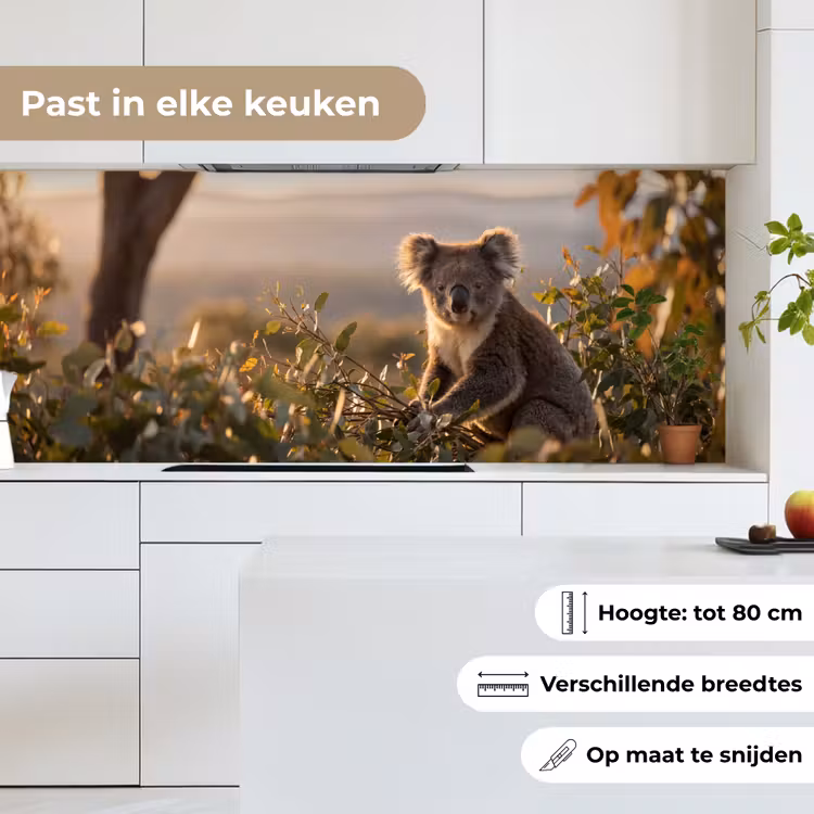 Koala - Bladeren - Ochtendlicht keuken achterwand 2 middel -sfeer4_NL