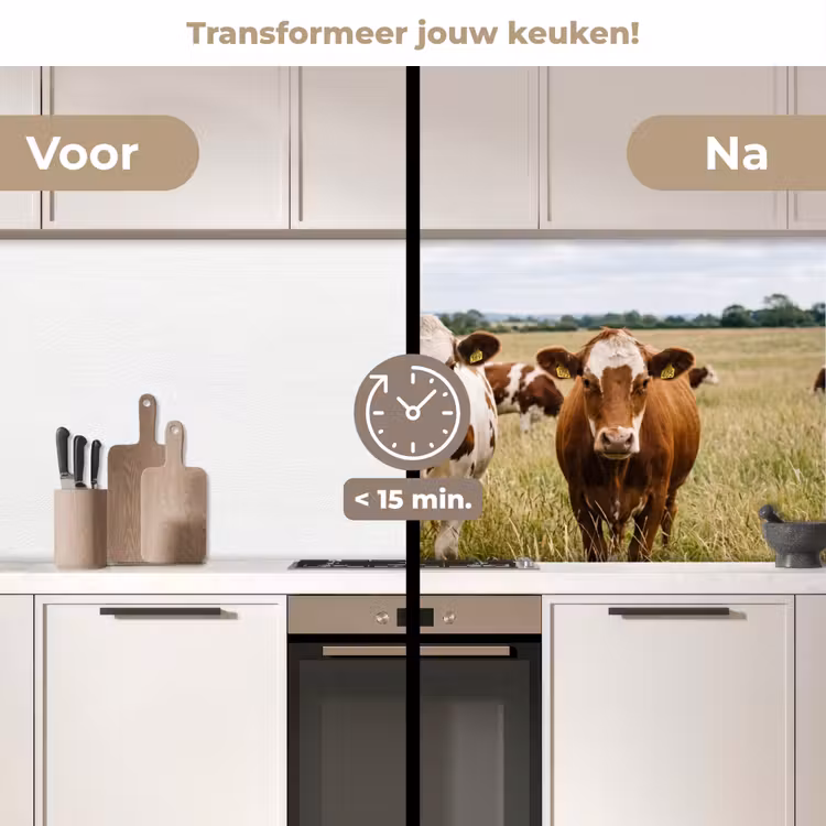 Koeien - Portret - Weide - Boerderij - Nieuwsgierig keuken achterwand 2 middel -voor-na2_NL