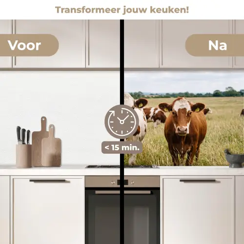 Koeien - Portret - Weide - Boerderij - Nieuwsgierig keuken achterwand 2 middel -voor-na2_NL
